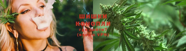 мескалин Заводоуковск