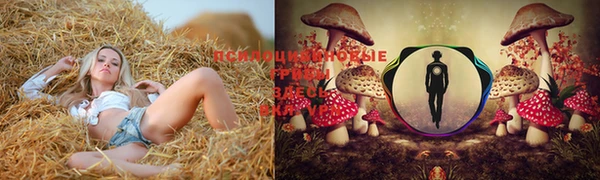 крисы Заволжье