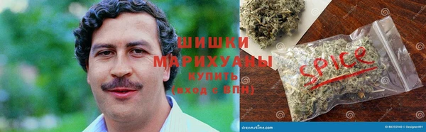 мескалин Заводоуковск