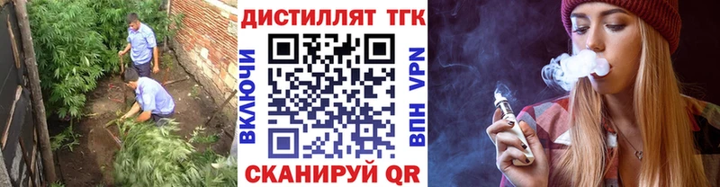 Купить где  Шуя  ТГК концентрат 