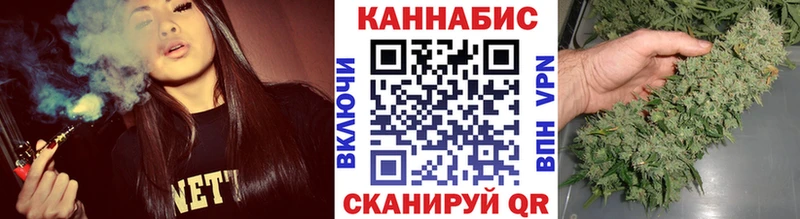 Купить  Шуя  Канабис план 